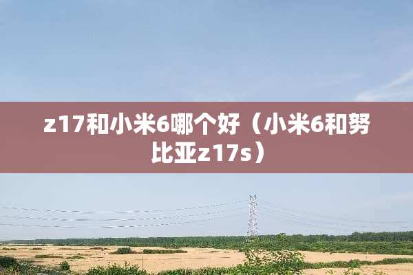 z17和小米6哪个好（小米6和努比亚z17s）