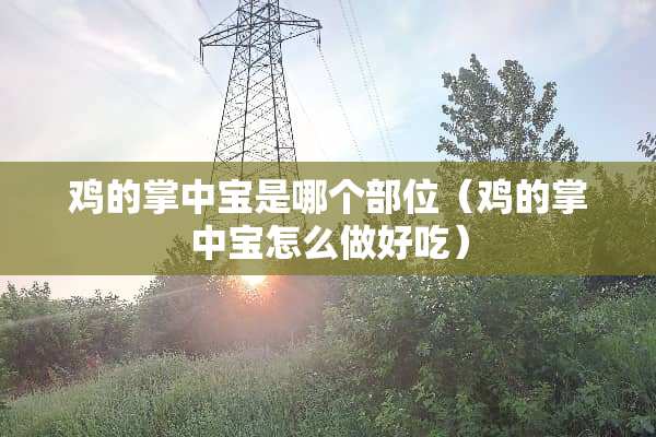 鸡的掌中宝是哪个部位（鸡的掌中宝怎么做好吃）