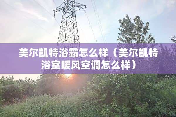 美尔凯特浴霸怎么样（美尔凯特浴室暖风空调怎么样）