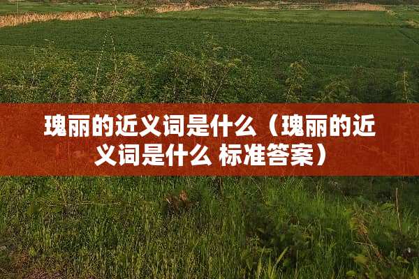 瑰丽的近义词是什么（瑰丽的近义词是什么 标准答案）