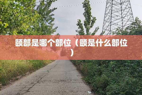 颐部是哪个部位（颐是什么部位）