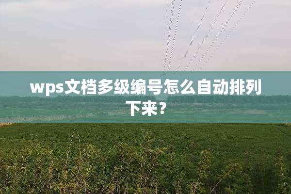 wps文档多级编号怎么自动排列下来？