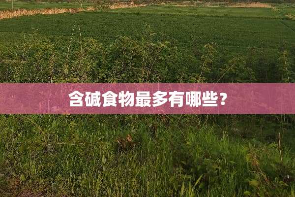 含碱食物最多有哪些？
