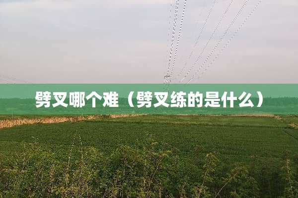 劈叉哪个难（劈叉练的是什么）