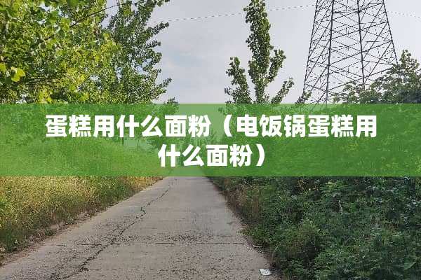 蛋糕用什么面粉（电饭锅蛋糕用什么面粉）