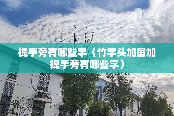 提手旁有哪些字（竹字头加留加提手旁有哪些字）