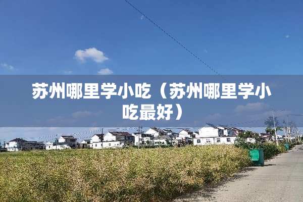 苏州哪里学小吃（苏州哪里学小吃最好）