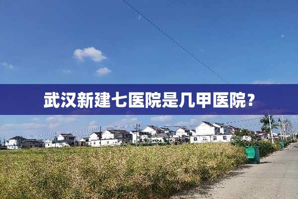 武汉新建七医院是几甲医院？