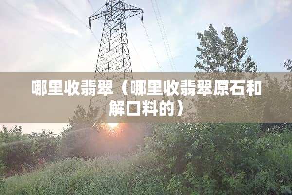 哪里收翡翠（哪里收翡翠原石和解口料的）