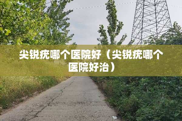 尖锐疣哪个医院好（尖锐疣哪个医院好治）