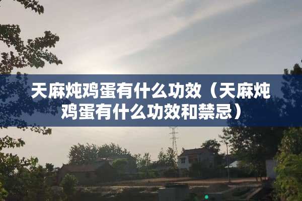 天麻炖鸡蛋有什么功效（天麻炖鸡蛋有什么功效和禁忌）