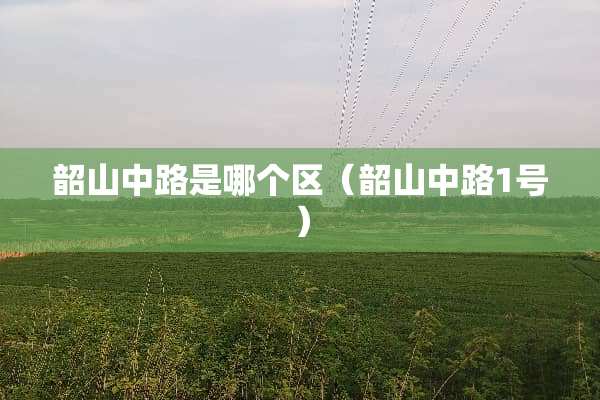 韶山中路是哪个区（韶山中路1号）