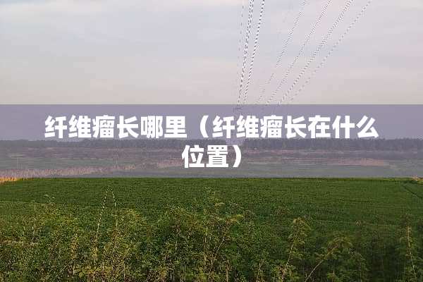 纤维瘤长哪里（纤维瘤长在什么位置）