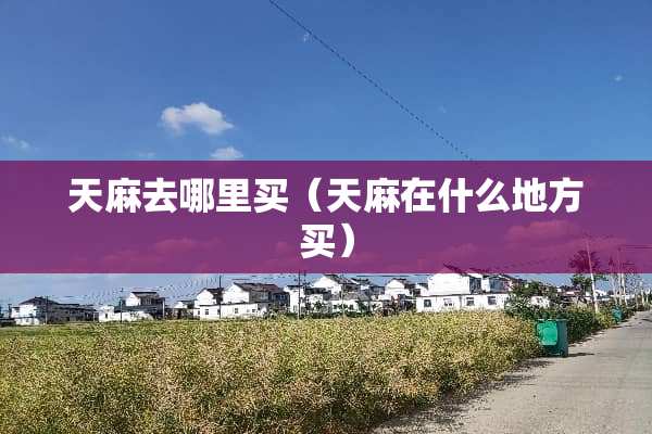 天麻去哪里买（天麻在什么地方买）