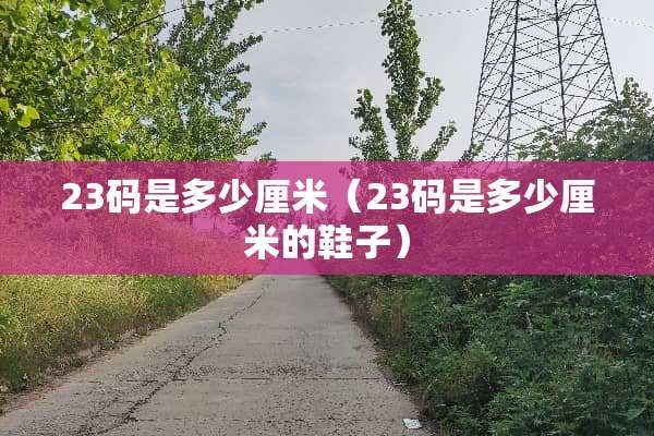 23码是多少厘米（23码是多少厘米的鞋子）