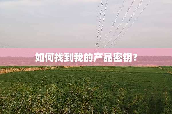 如何找到我的产品密钥？