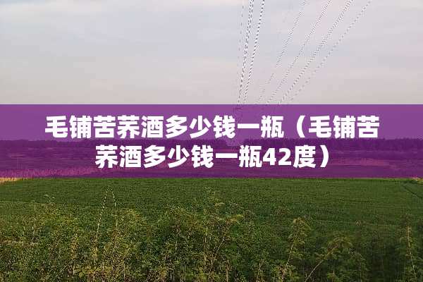 毛铺苦荞酒多少钱一瓶（毛铺苦荞酒多少钱一瓶42度）