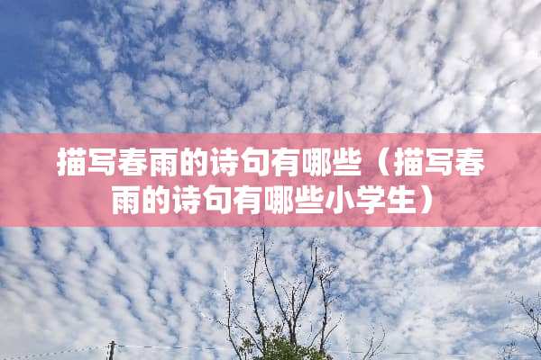 描写春雨的诗句有哪些（描写春雨的诗句有哪些小学生）