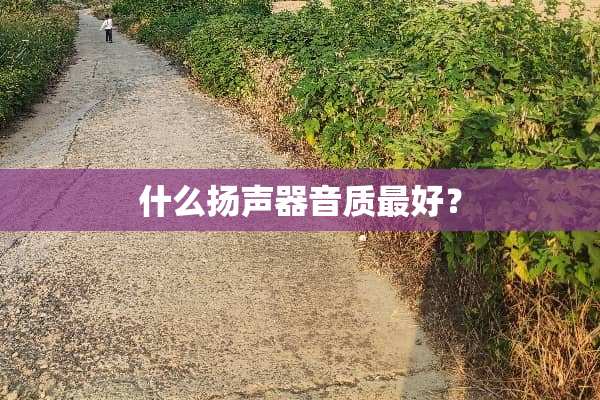 什么扬声器音质最好？