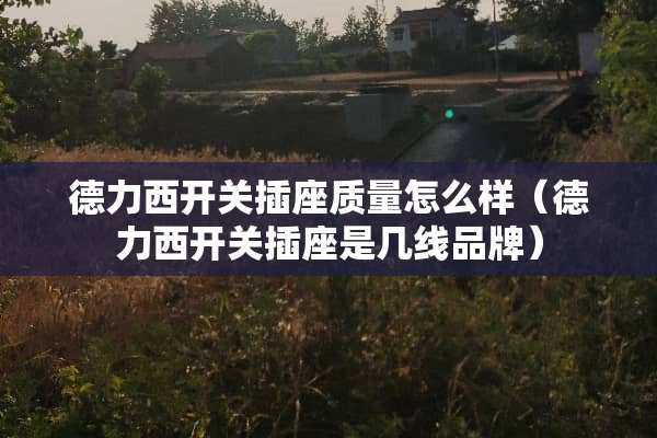 德力西开关插座质量怎么样（德力西开关插座是几线品牌）