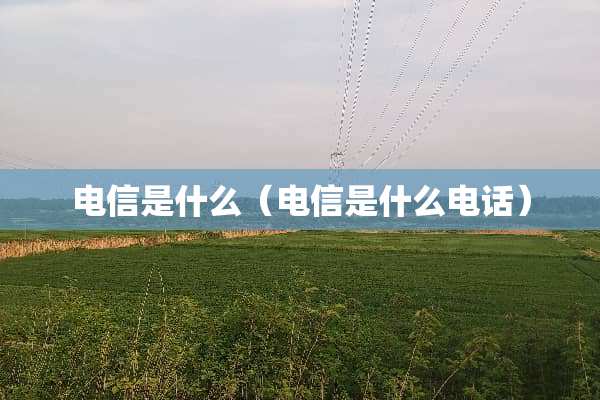 电信是什么（电信是什么电话）