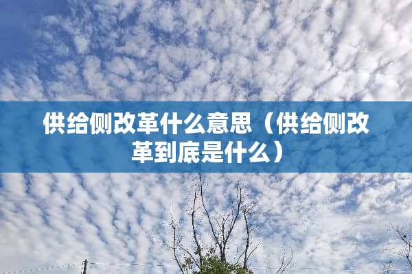 供给侧改革什么意思（供给侧改革到底是什么）