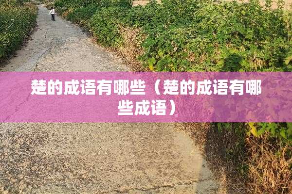 楚的成语有哪些（楚的成语有哪些成语）