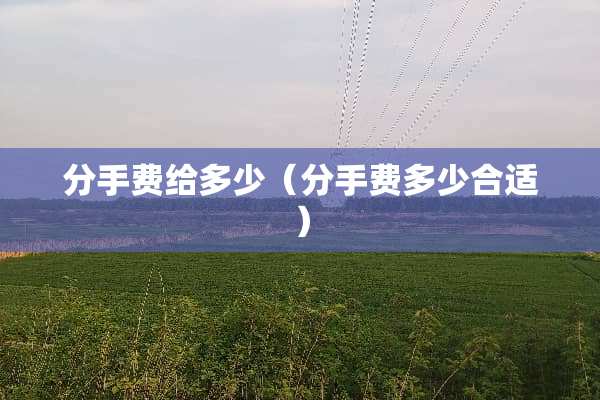 分手费给多少（分手费多少合适）