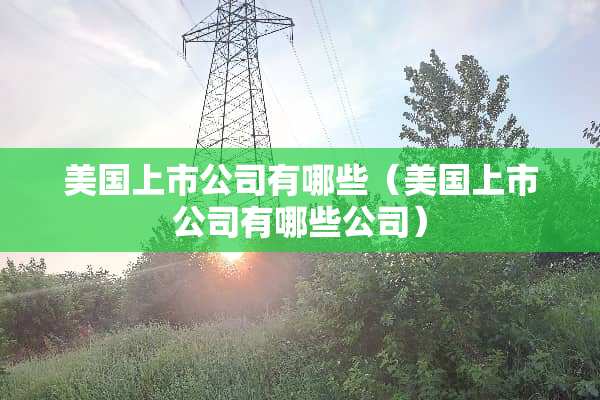 美国上市公司有哪些（美国上市公司有哪些公司）
