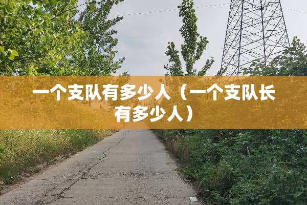 一个支队有多少人（一个支队长有多少人）