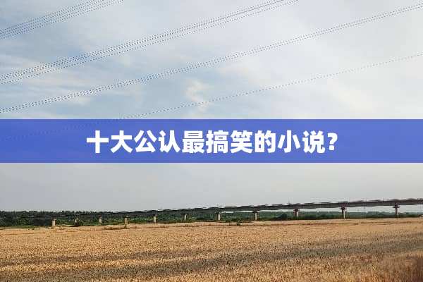 十大公认最搞笑的小说？