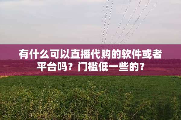 有什么可以直播代购的软件或者平台吗？门槛低一些的？