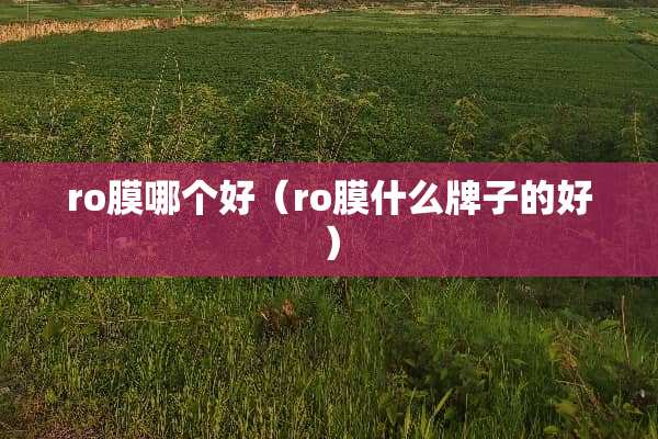 ro膜哪个好（ro膜什么牌子的好）