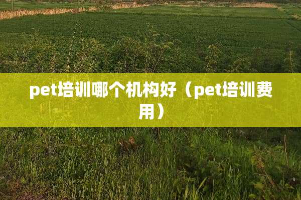 pet培训哪个机构好（pet培训费用）