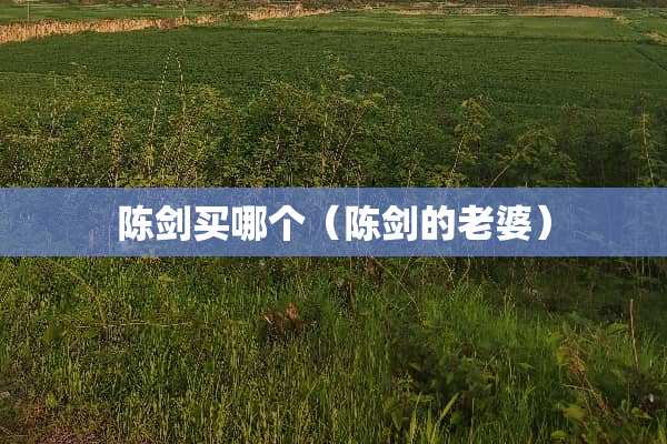 陈剑买哪个（陈剑的老婆）