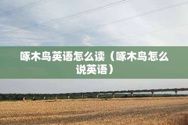 啄木鸟英语怎么读（啄木鸟怎么说英语）