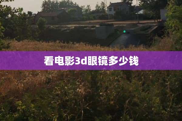 看电影3d眼镜多少钱