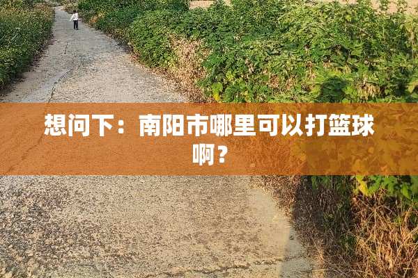 想问下：南阳市哪里可以打篮球啊？