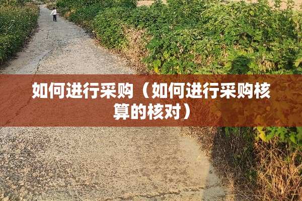 如何进行采购（如何进行采购核算的核对）