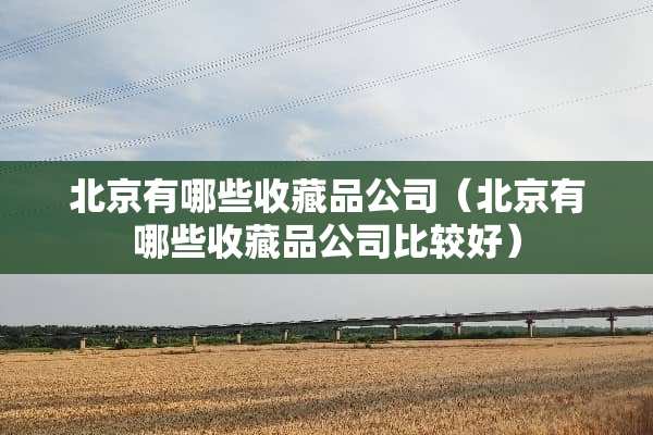 北京有哪些收藏品公司（北京有哪些收藏品公司比较好）