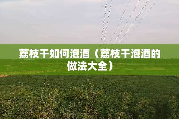 荔枝干如何泡酒（荔枝干泡酒的做法大全）