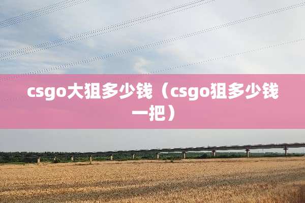 csgo大狙多少钱（csgo狙多少钱一把）