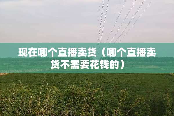 现在哪个直播卖货（哪个直播卖货不需要花钱的）