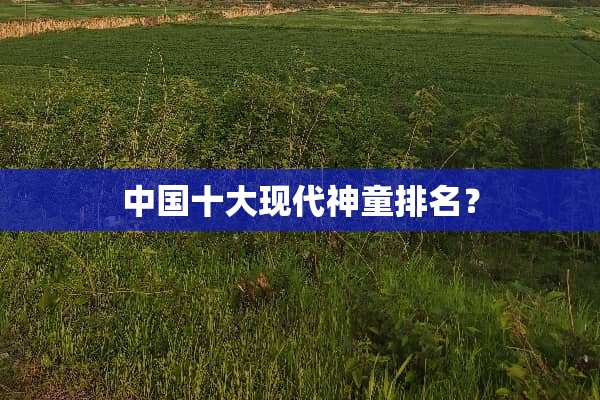 中国十大现代神童排名？