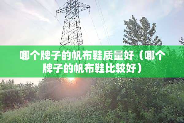 哪个牌子的帆布鞋质量好（哪个牌子的帆布鞋比较好）