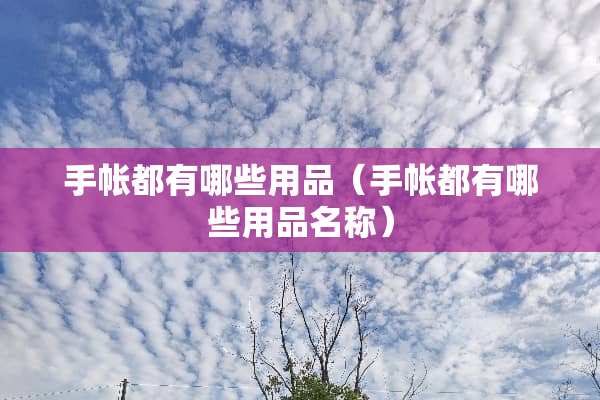 手帐都有哪些用品（手帐都有哪些用品名称）