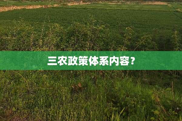 三农政策体系内容？
