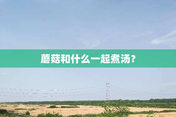 蘑菇和什么一起煮汤？