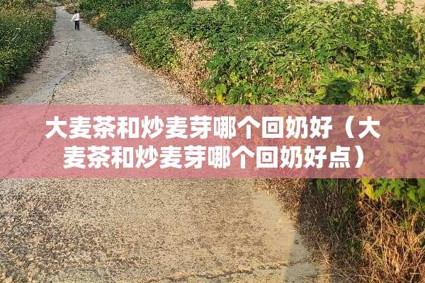 大麦茶和炒麦芽哪个回奶好（大麦茶和炒麦芽哪个回奶好点）