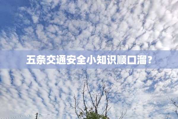 五条交通安全小知识顺口溜？